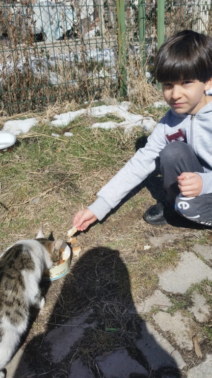 UZAKTAN EĞİTİM SÜRECİNDE HAYVAN DOSTLARIMIZI BESLEDİK VE ONLARA YUVA YAPTIK
