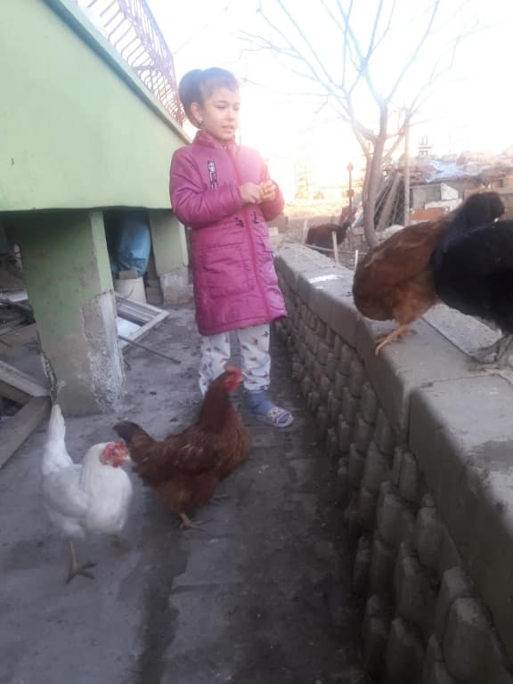 UZAKTAN EĞİTİM SÜRECİNDE HAYVAN DOSTLARIMIZI BESLEDİK VE ONLARA YUVA YAPTIK